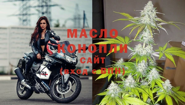мяу мяу мука Бородино