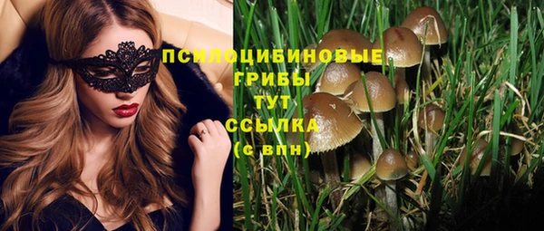 ECSTASY Володарск