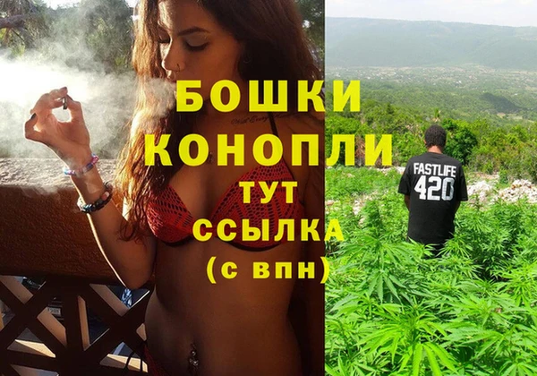 бошки Бронницы