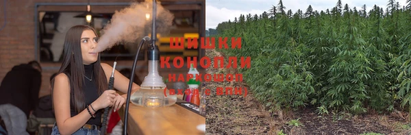 мескалин Богданович