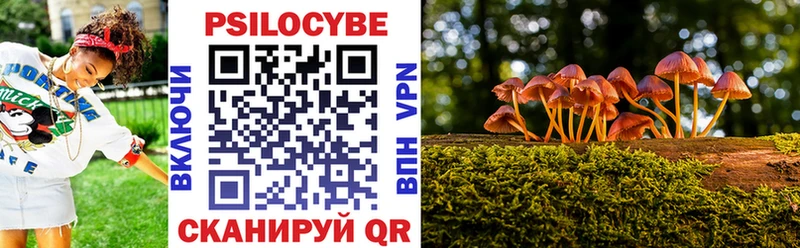Галлюциногенные грибы Psilocybine cubensis  блэк спрут   Дорогобуж  наркошоп 